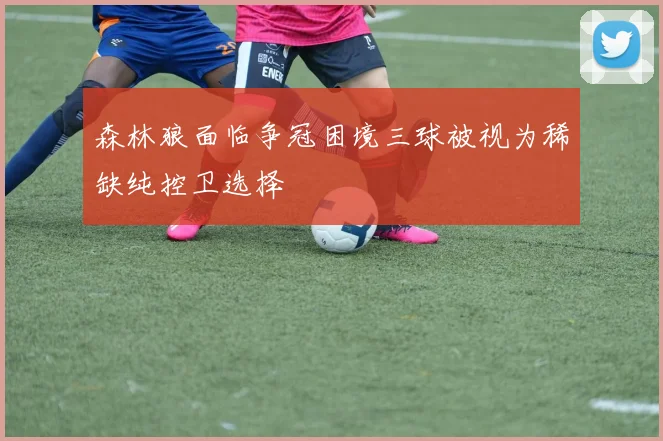 森林狼面临争冠困境三球被视为稀缺纯控卫选择