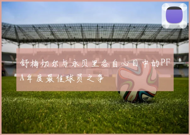 舒梅切尔与永贝里各自心目中的PFA年度最佳球员之争